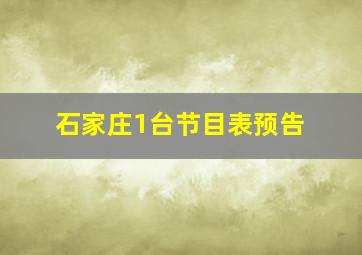 石家庄1台节目表预告