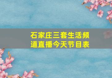 石家庄三套生活频道直播今天节目表