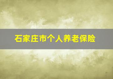 石家庄市个人养老保险