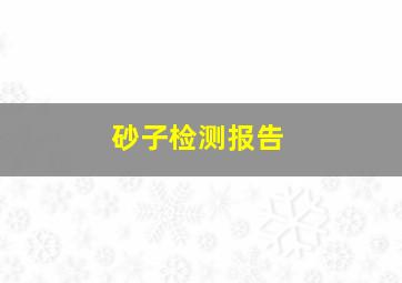 砂子检测报告