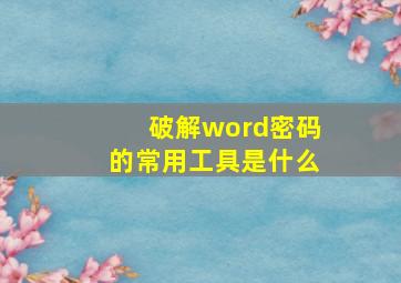 破解word密码的常用工具是什么