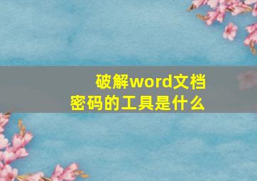 破解word文档密码的工具是什么