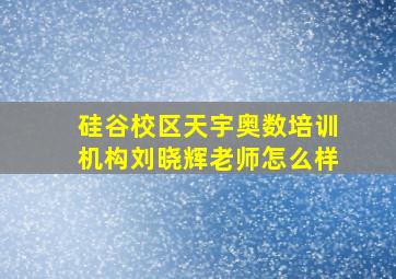 硅谷校区天宇奥数培训机构刘晓辉老师怎么样