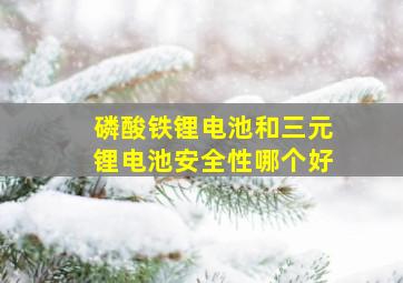 磷酸铁锂电池和三元锂电池安全性哪个好