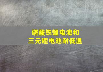 磷酸铁锂电池和三元锂电池耐低温