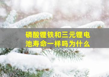 磷酸锂铁和三元锂电池寿命一样吗为什么