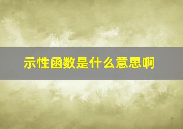 示性函数是什么意思啊