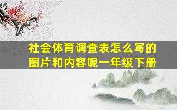 社会体育调查表怎么写的图片和内容呢一年级下册