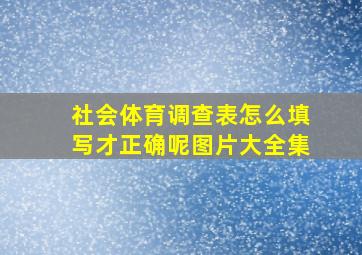 社会体育调查表怎么填写才正确呢图片大全集