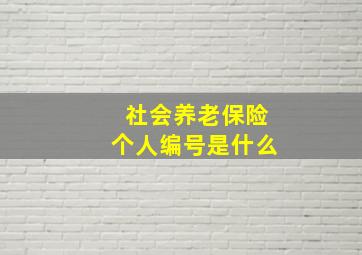 社会养老保险个人编号是什么