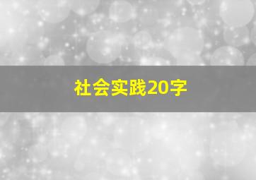 社会实践20字