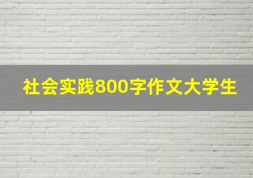 社会实践800字作文大学生