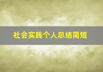 社会实践个人总结简短