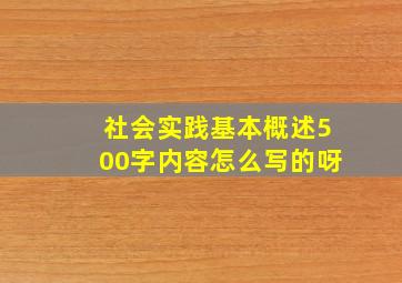 社会实践基本概述500字内容怎么写的呀