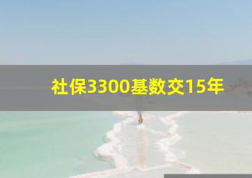 社保3300基数交15年