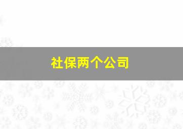 社保两个公司