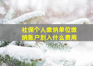 社保个人缴纳单位缴纳账户划入什么费用