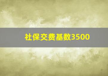 社保交费基数3500