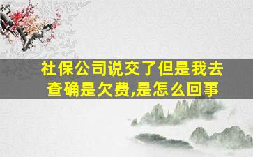 社保公司说交了但是我去查确是欠费,是怎么回事