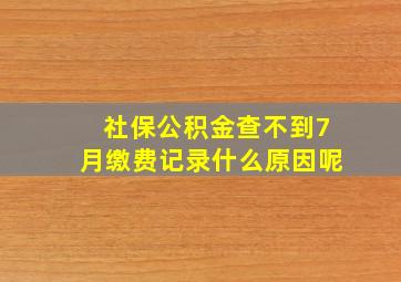 社保公积金查不到7月缴费记录什么原因呢