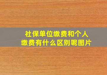 社保单位缴费和个人缴费有什么区别呢图片