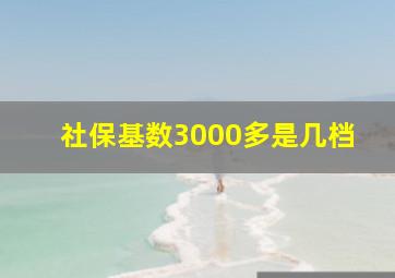 社保基数3000多是几档