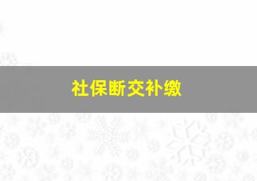 社保断交补缴