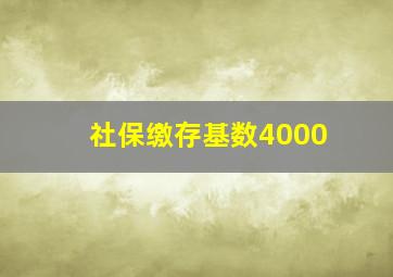 社保缴存基数4000