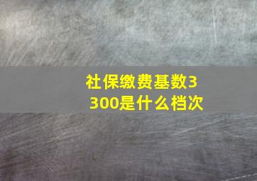 社保缴费基数3300是什么档次