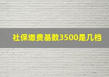 社保缴费基数3500是几档