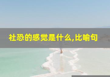 社恐的感觉是什么,比喻句