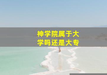 神学院属于大学吗还是大专