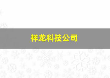 祥龙科技公司