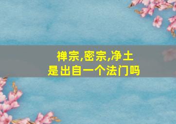 禅宗,密宗,净土是出自一个法门吗