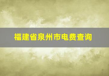 福建省泉州市电费查询