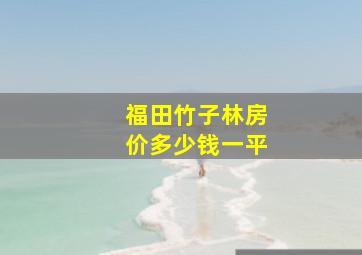 福田竹子林房价多少钱一平