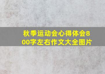 秋季运动会心得体会800字左右作文大全图片