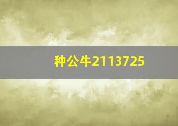 种公牛2113725