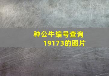 种公牛编号查询19173的图片