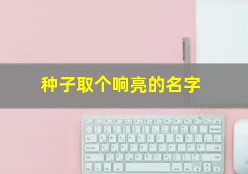 种子取个响亮的名字