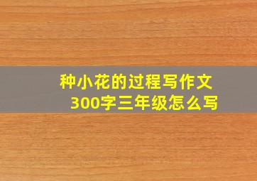 种小花的过程写作文300字三年级怎么写