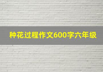 种花过程作文600字六年级