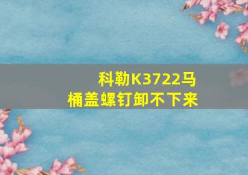 科勒K3722马桶盖螺钉卸不下来