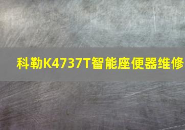 科勒K4737T智能座便器维修