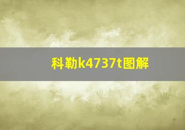 科勒k4737t图解