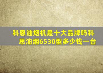 科恩油烟机是十大品牌吗科思油烟6530型多少钱一台