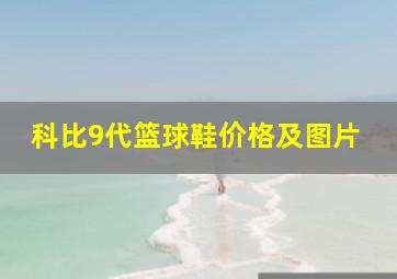 科比9代篮球鞋价格及图片