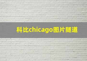 科比chicago图片隧道