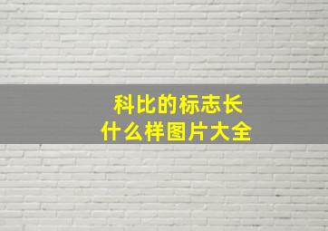 科比的标志长什么样图片大全