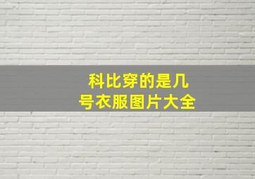 科比穿的是几号衣服图片大全